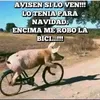 alfredo.buz