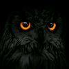 shahen5711
