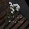 roo40_ro