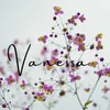vanessa.polosky