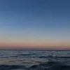 sooophia91