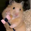 gabyzz248