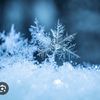 snowinter8