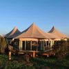 molly_tent