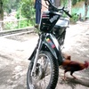 revo_penjahat