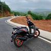 motor_keong_racun