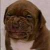 coquito12374