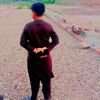user98195988860070