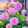 user53user534