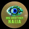 Bbnaija