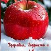 user1070163745481