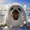 itsme_the_seal_lover