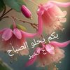 user110052583249