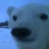naocosaumui.doiten