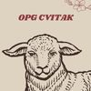 opgcvitak