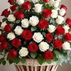 user2804834346052