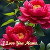 yushan577