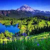 salmanali180180