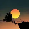 khang.nguyen330