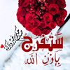 user6115306152181