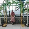 iis.nurhayati80