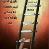 user38842440878525