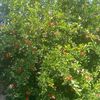 user1803918571191