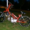elrojito951