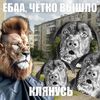 kitimka