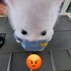 reneneyy3