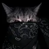 suripaw0