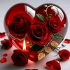 nourane.nona