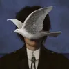 knlo64
