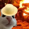 calopita1049