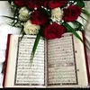 user30748059681507