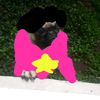 patricio2062