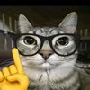 hola59021692