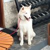 kamagi.official