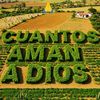 xiomara.ramirez937