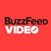 buzzfeedpro2