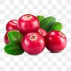 9_cranberrys