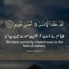 uzma.liqa