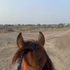 er_r19