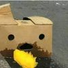mr.scotty0