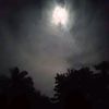 doni_syauqon