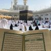 حور عين