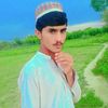 taza.gul629