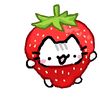 aisyah_icahmorol