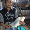 BINTANG BABON