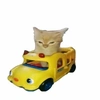 catonlittlecar